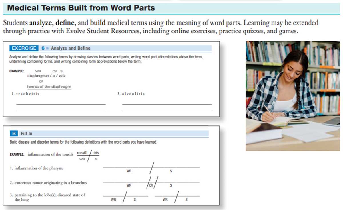 chapter 6 medical terminology worksheet chapter 6 medical terminology worksheet