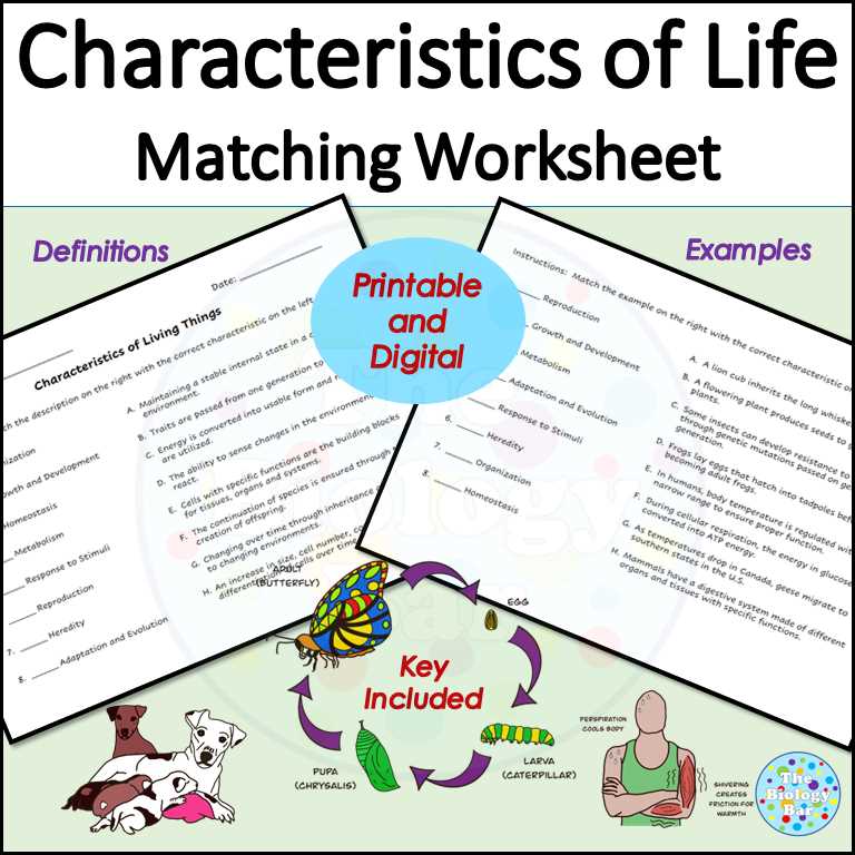 characteristic of life worksheet