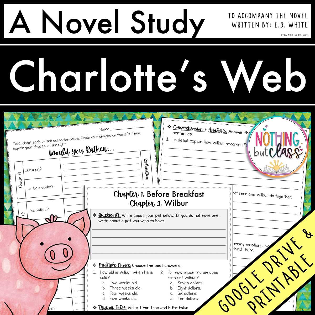 charlottes web chapter questions worksheets