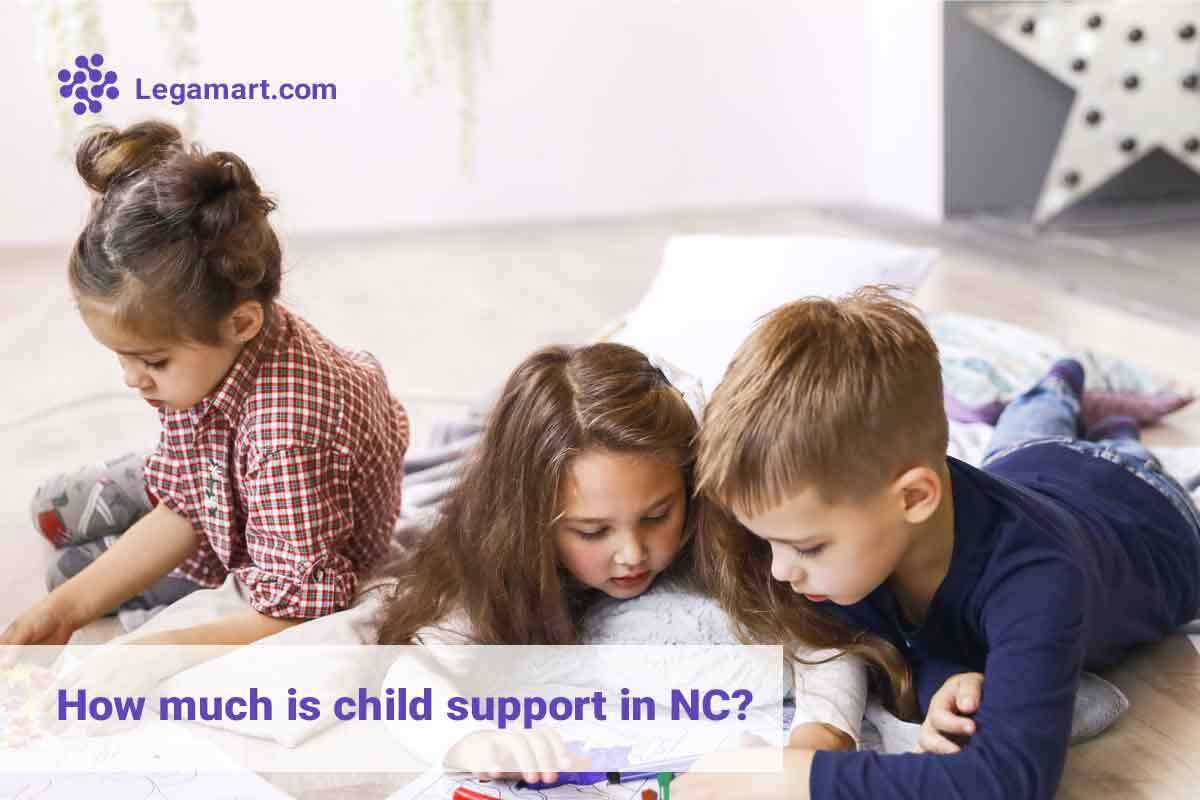 child support calculator nc worksheet b