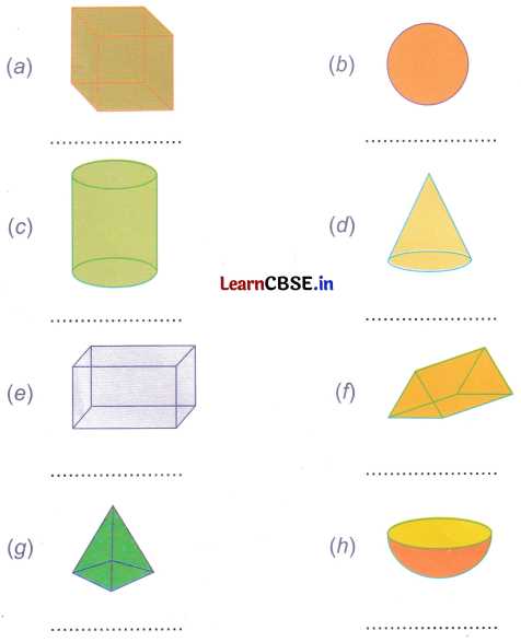 circles worksheet class 4