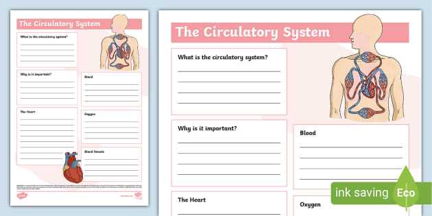 circulatory and respiratory system skills worksheet