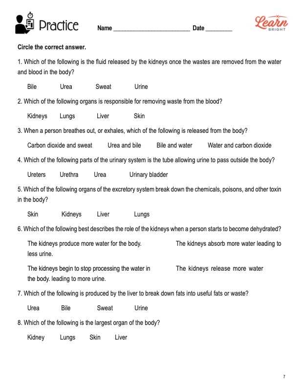 circulatory respiratory and excretory systems worksheet