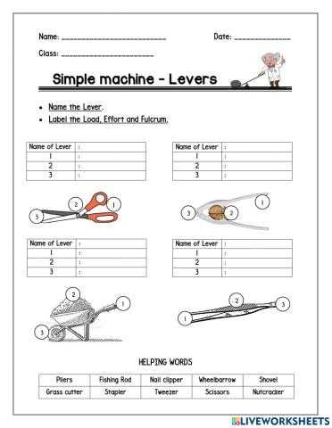 class of levers worksheet