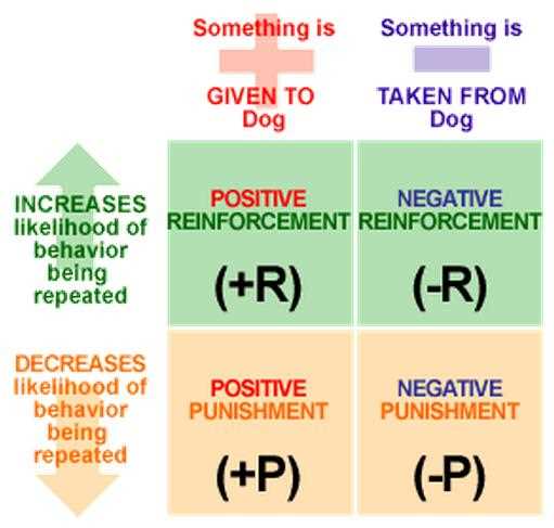 classical conditioning vs operant conditioning worksheet