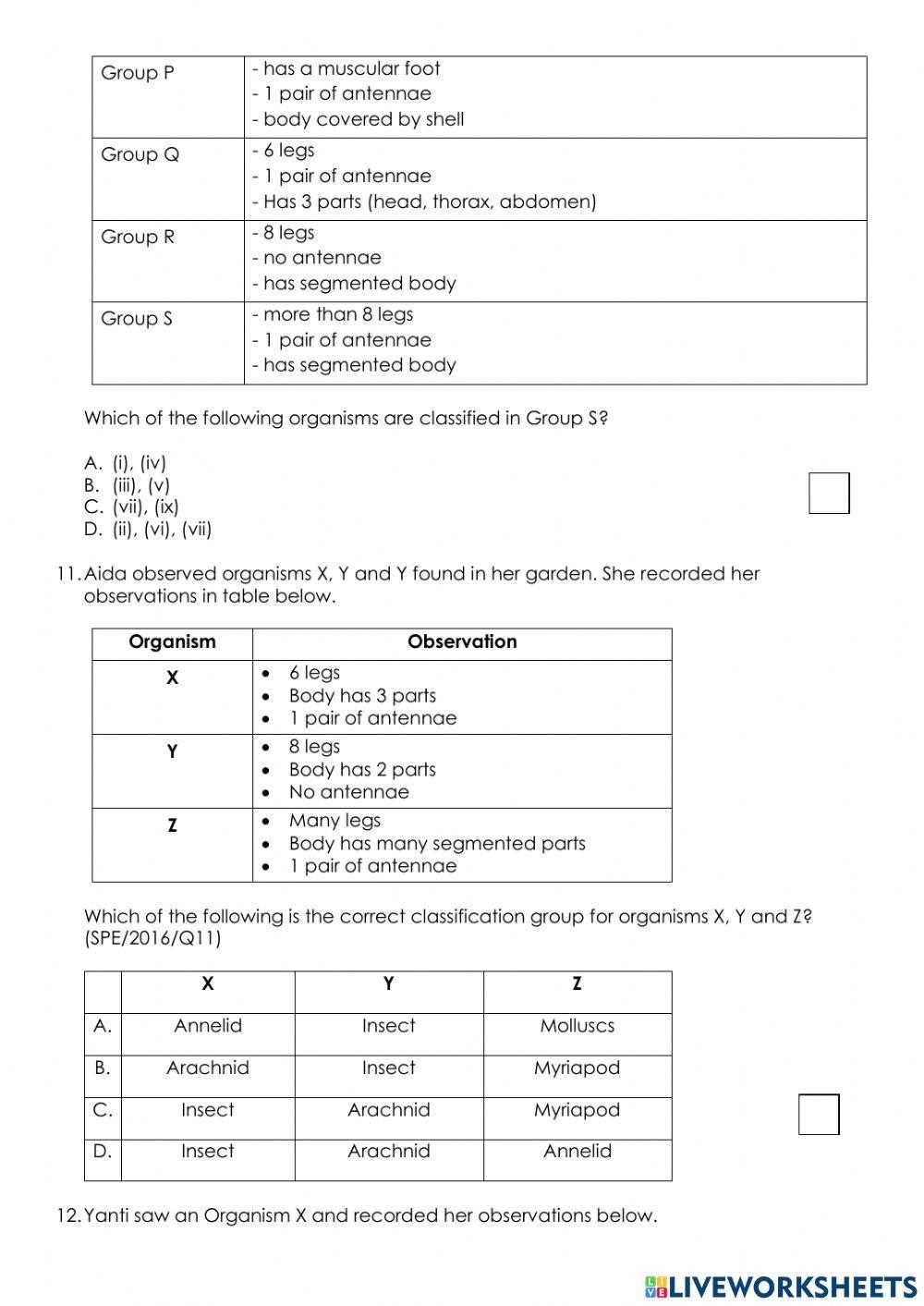 classification of living things worksheet