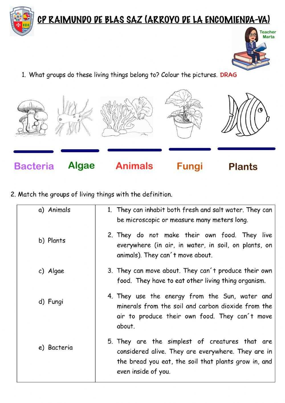 classification of living things worksheets