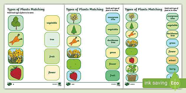 classifying plants worksheet