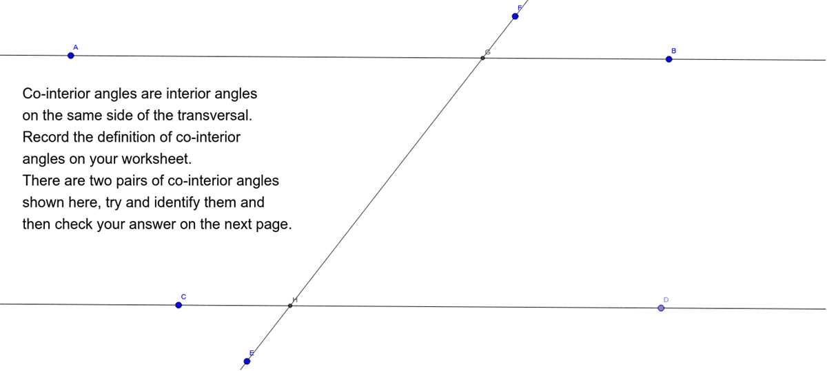 co interior angles worksheet