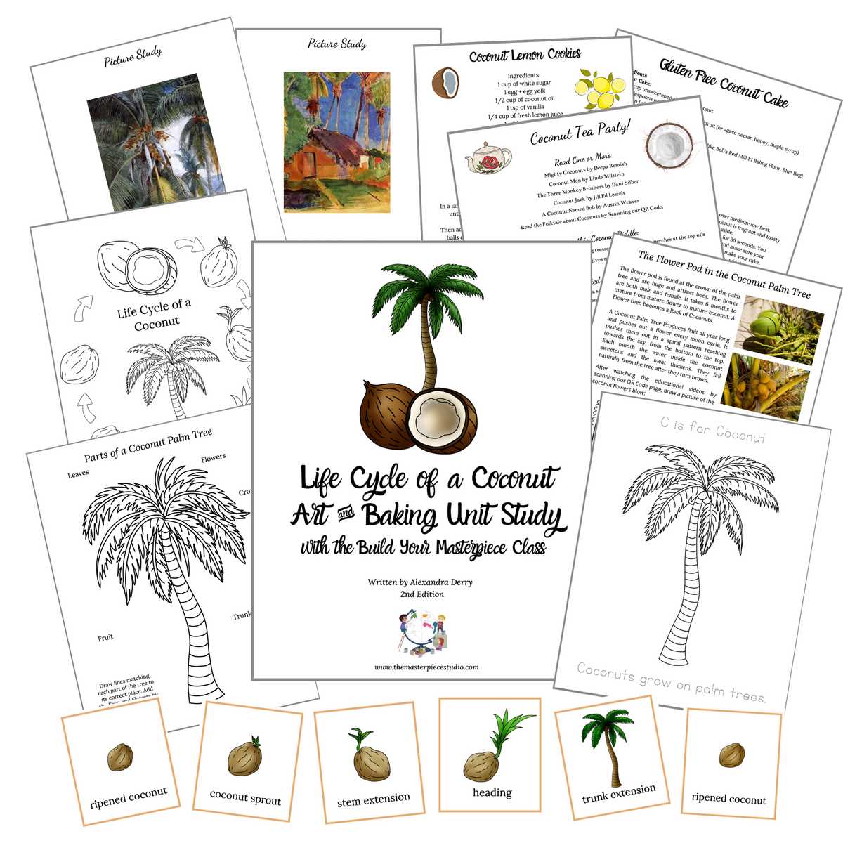coconut tree worksheet