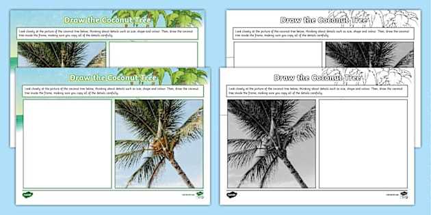 coconut tree worksheet