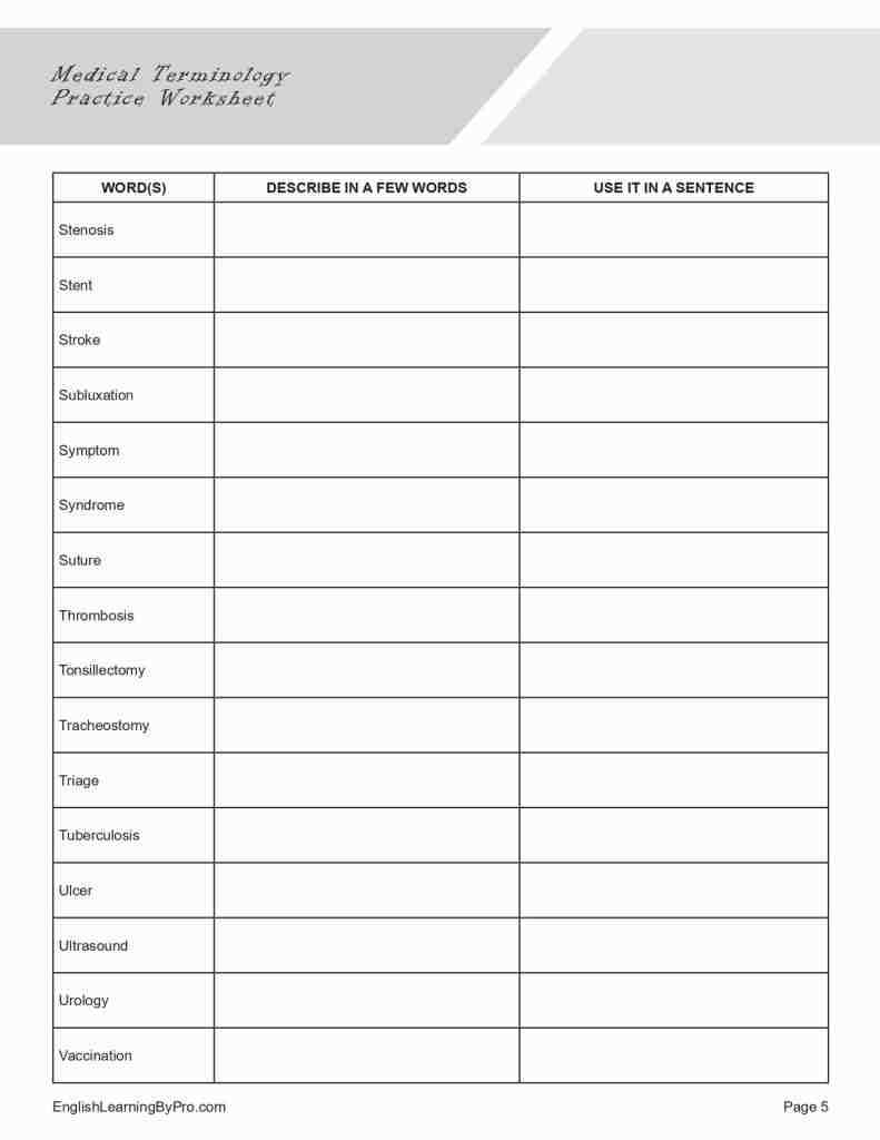 college terminology worksheet college terminology worksheet