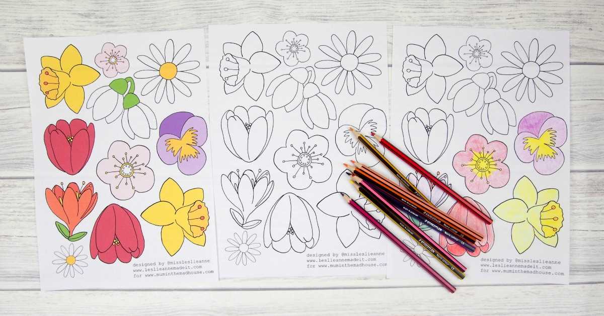 colouring worksheets for adults
