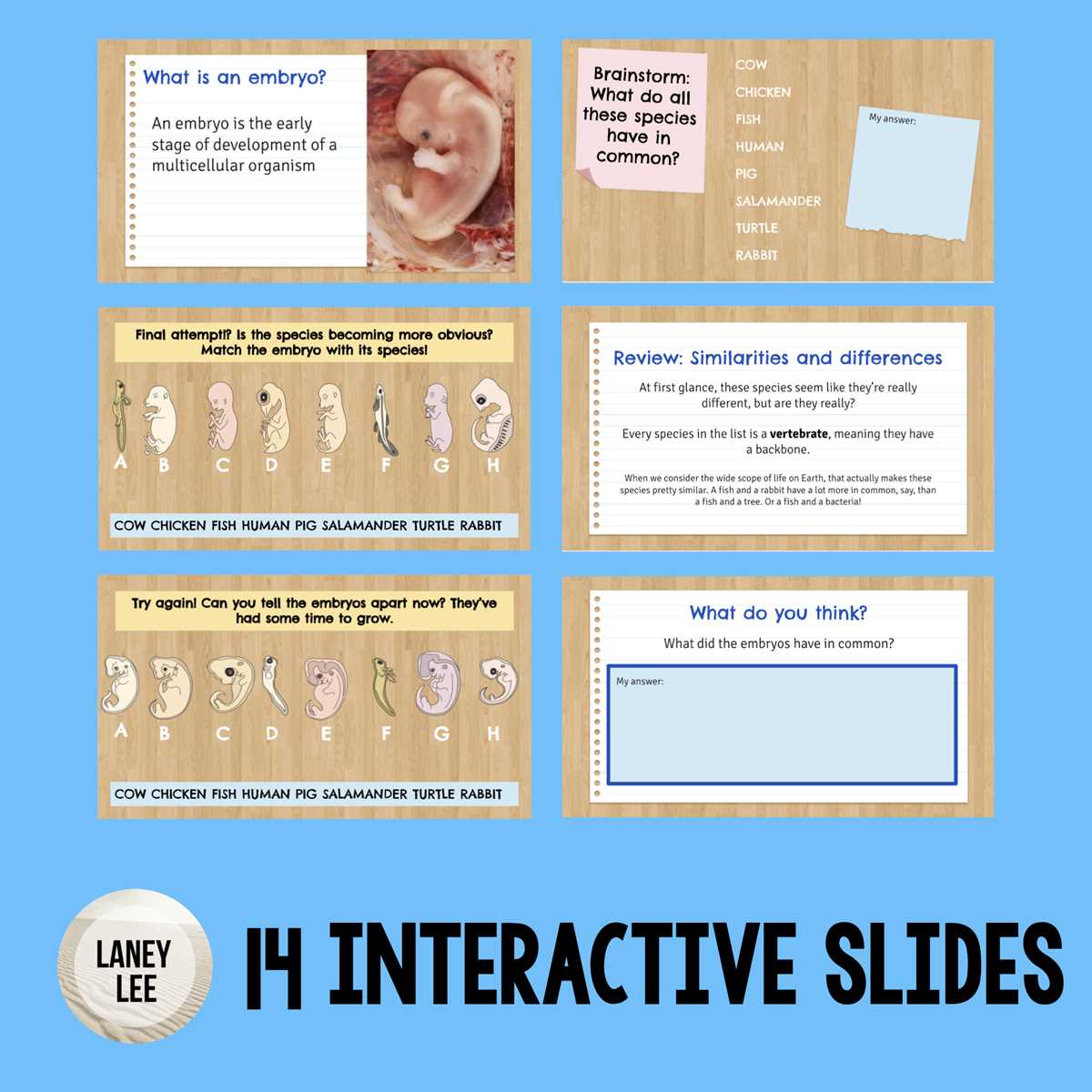 comparative embryology worksheet