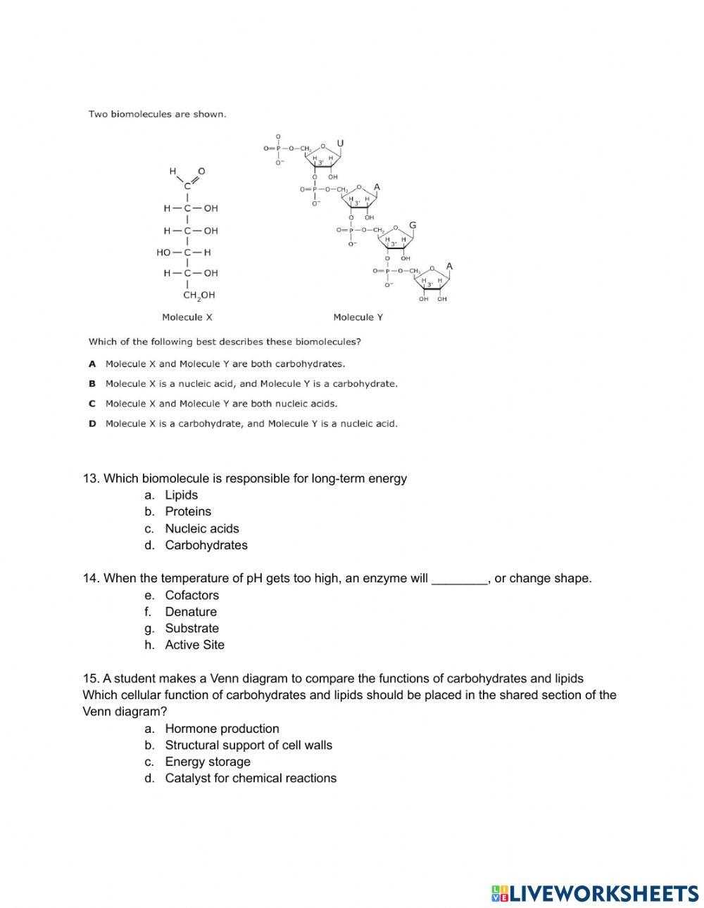 comparing biomolecules worksheet