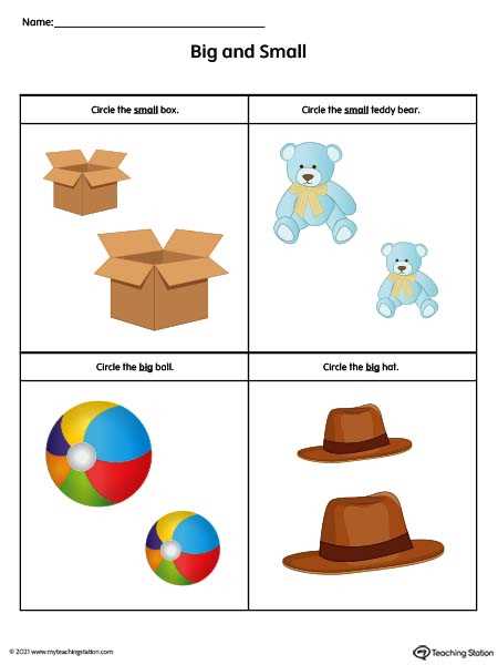 concept of big and small worksheet