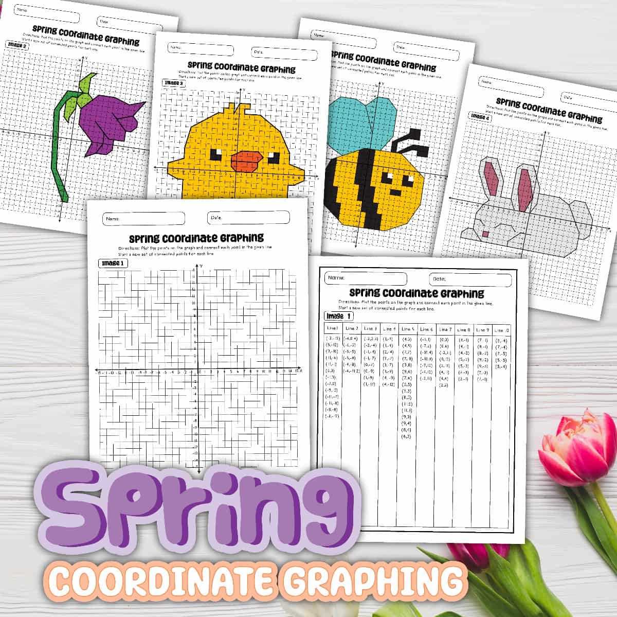 coordinate plane picture worksheets coordinate plane picture worksheets