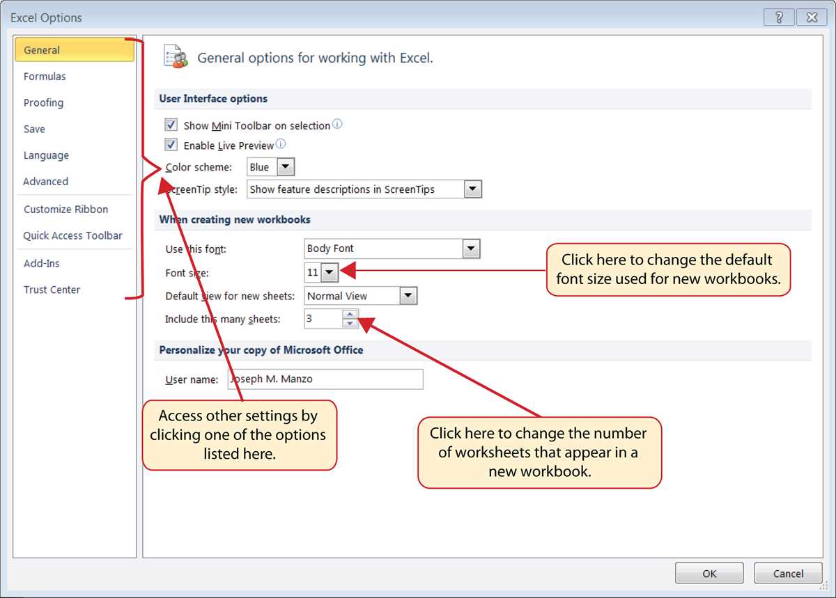 copy the car loan worksheet to a new workbook