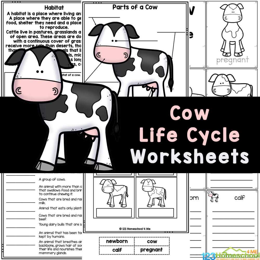cow genetics worksheet