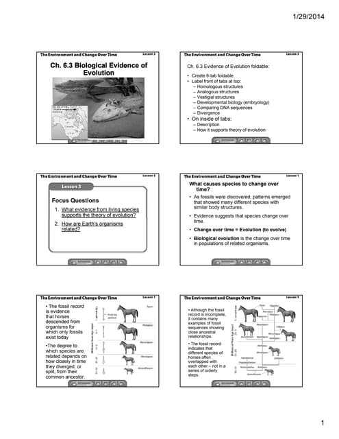 evidence from embryology worksheet