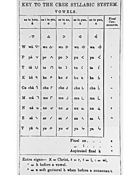 cree worksheets