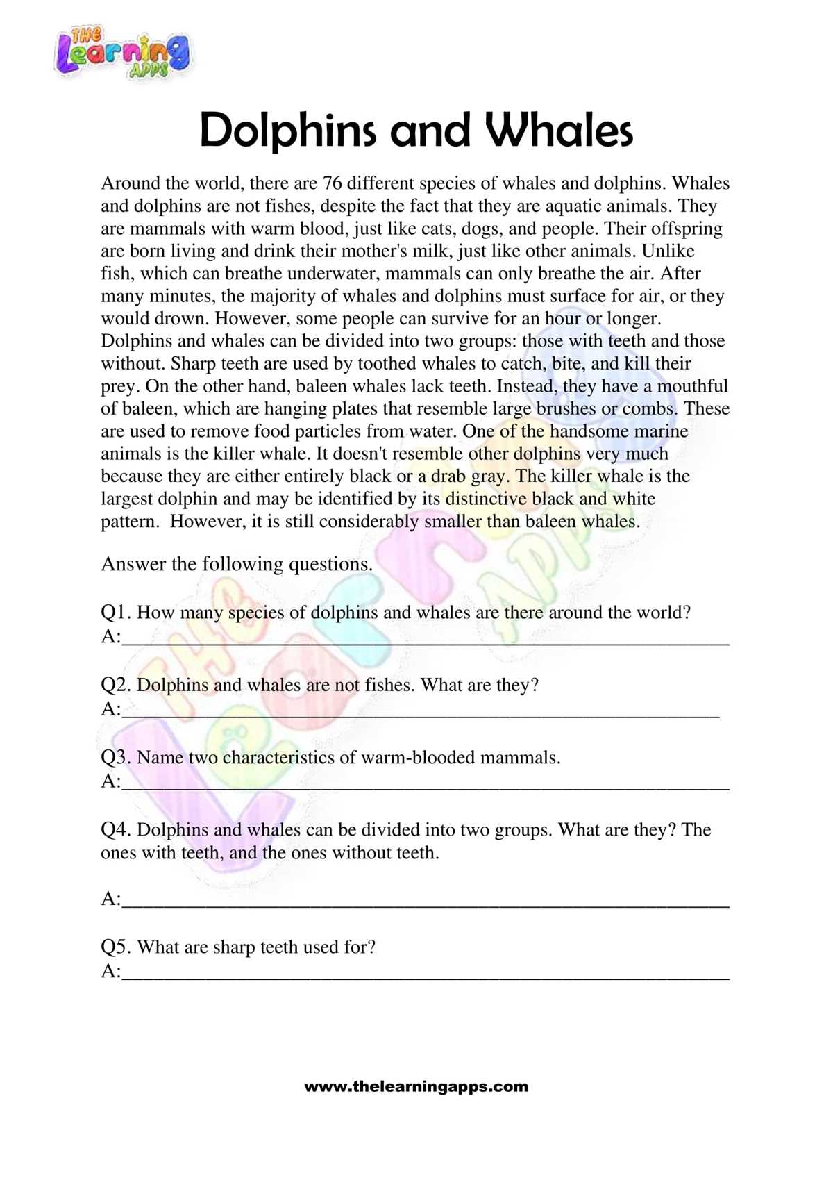 3rd grade reading worksheet
