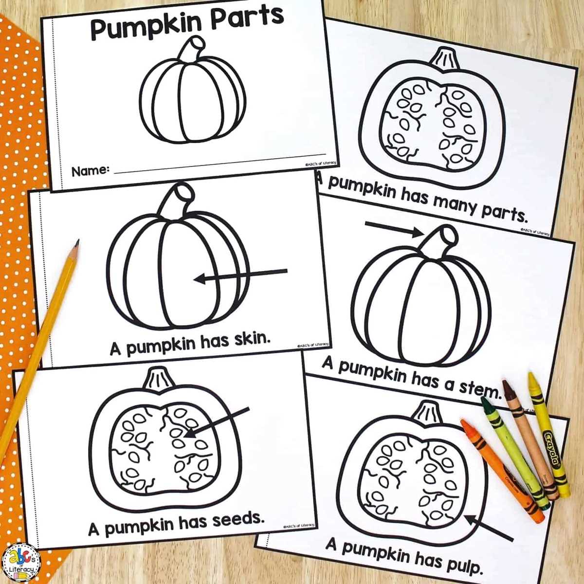 free printable parts of a pumpkin worksheet