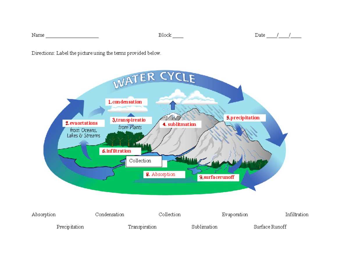 cycling of matter worksheet