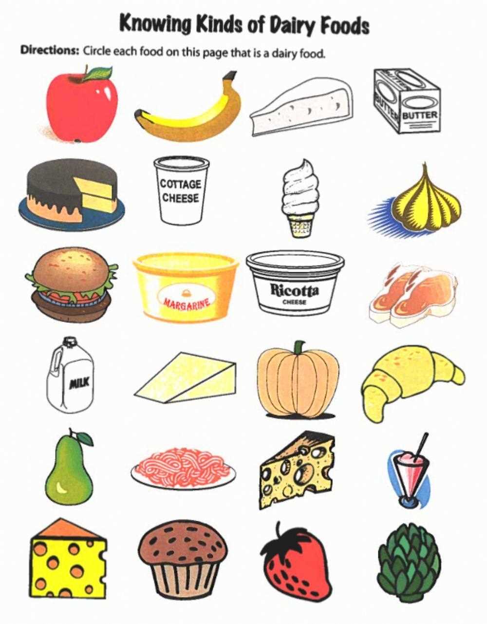 dairy products worksheet for kindergarten