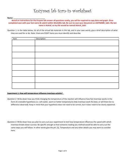 enzymes   how do they work worksheet