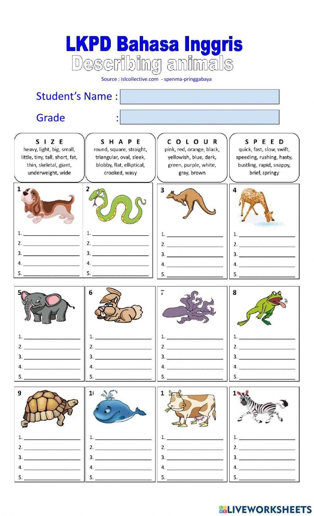 describing an animal worksheet