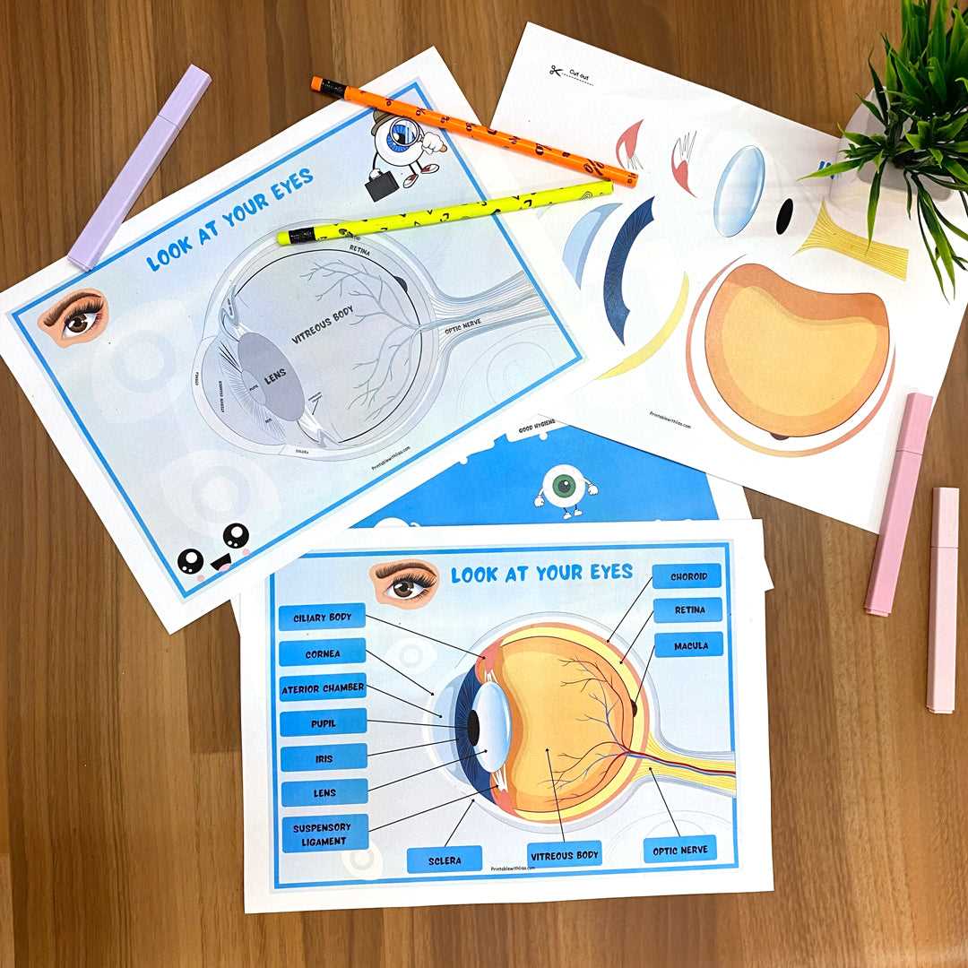 anatomy printable worksheets