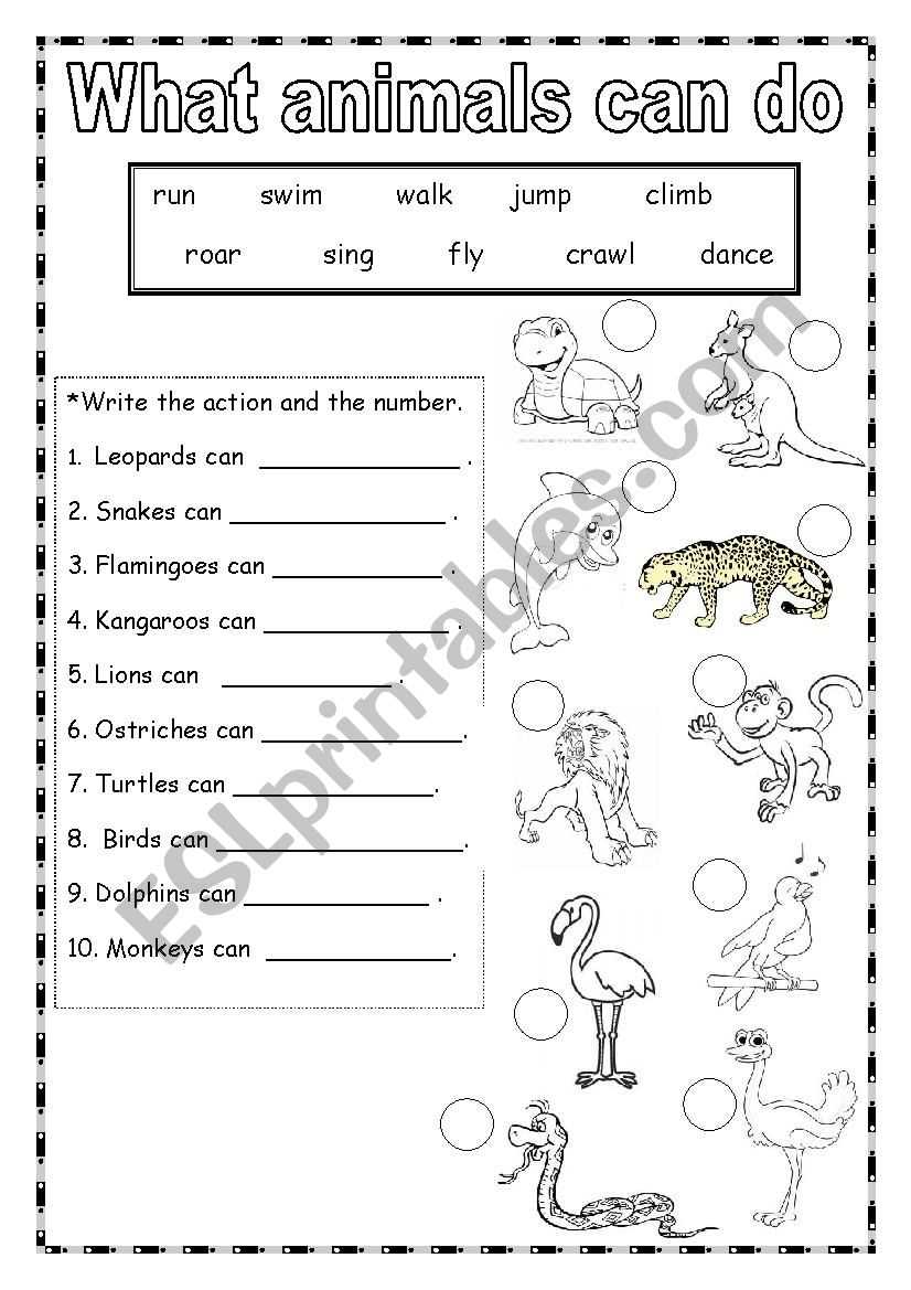 animal abilities worksheet