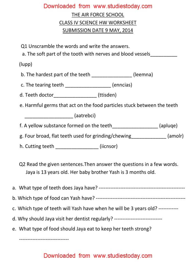 digestion and teeth class 4 worksheet