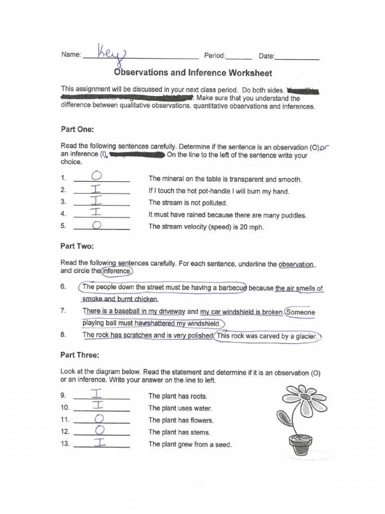 inferences and observations worksheet