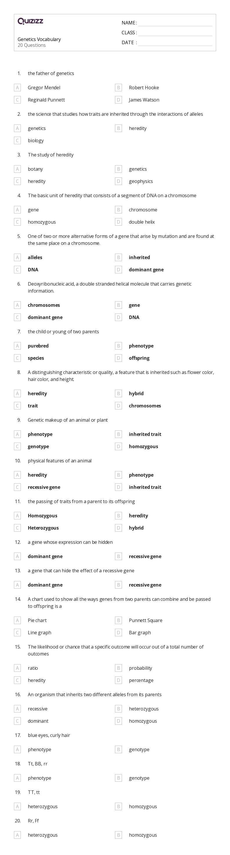 12th grade vocabulary worksheets