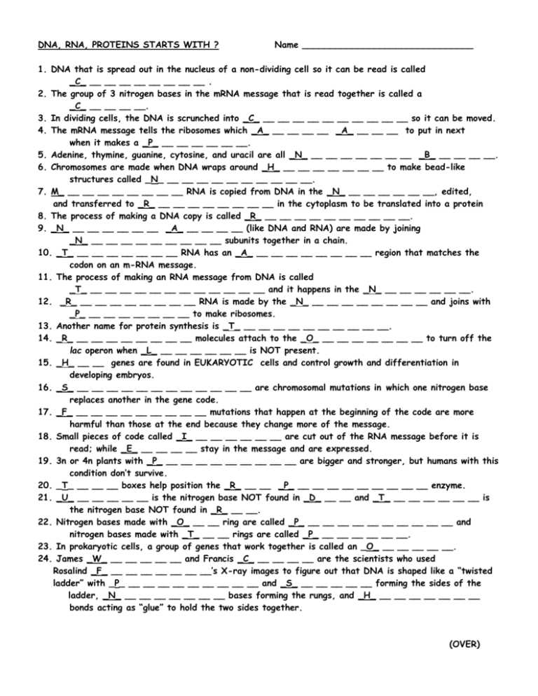 dna and rna worksheet
