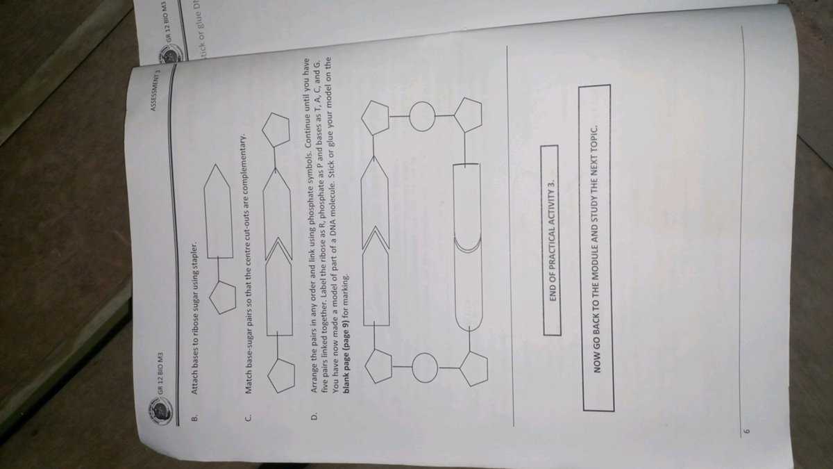 dna connection worksheet