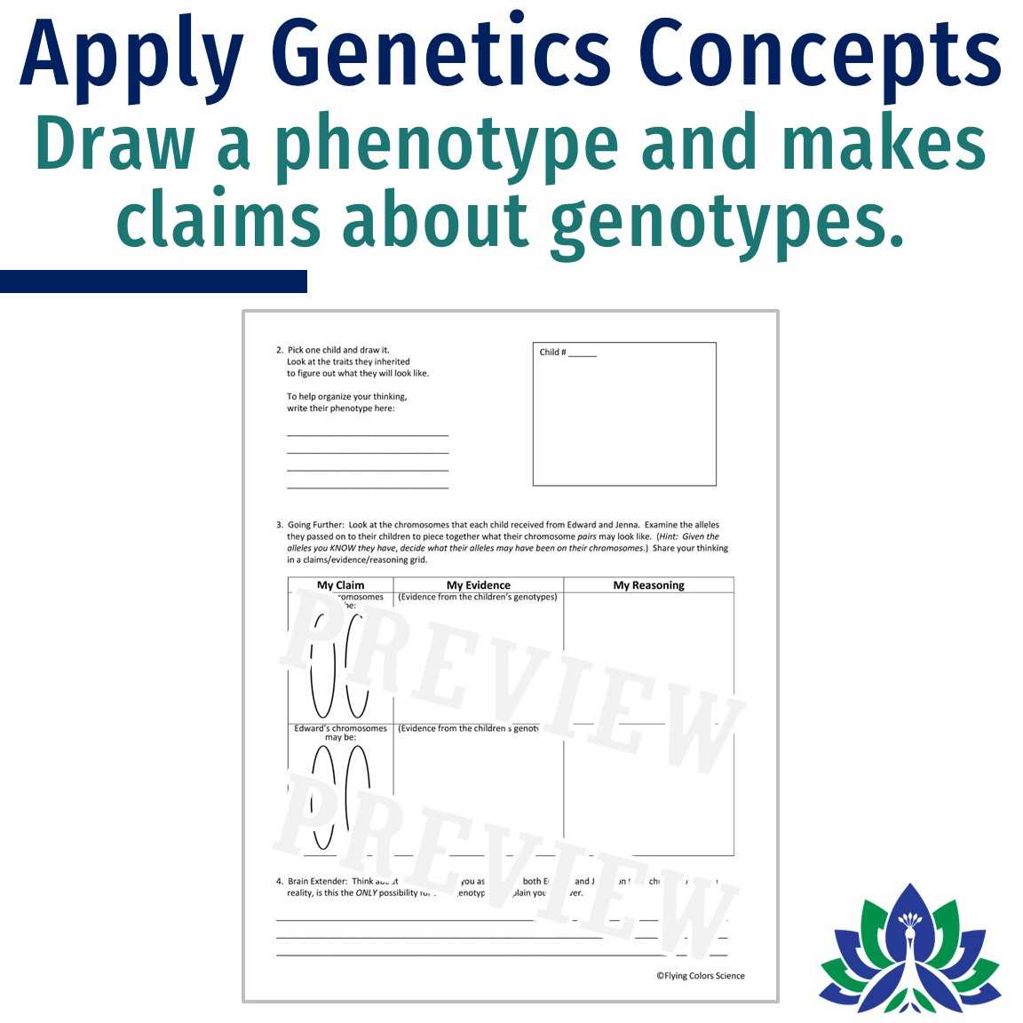 dna genes chromosomes worksheet