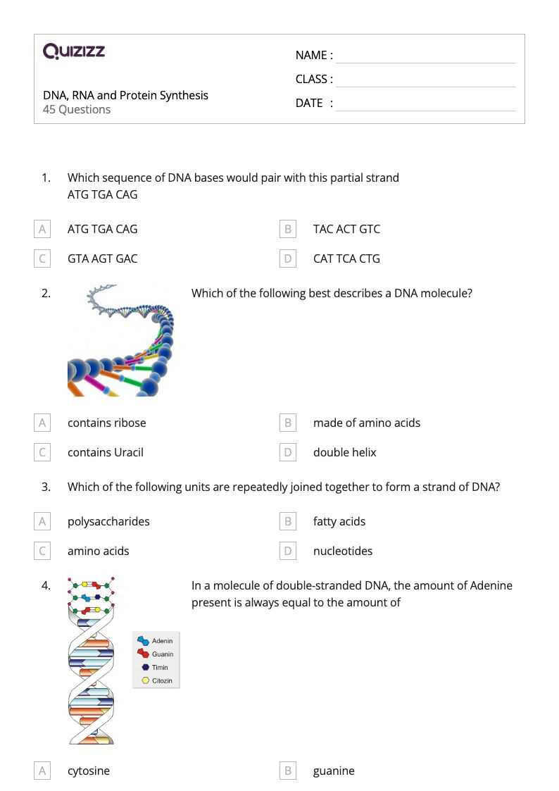 dna rna and protein synthesis worksheet