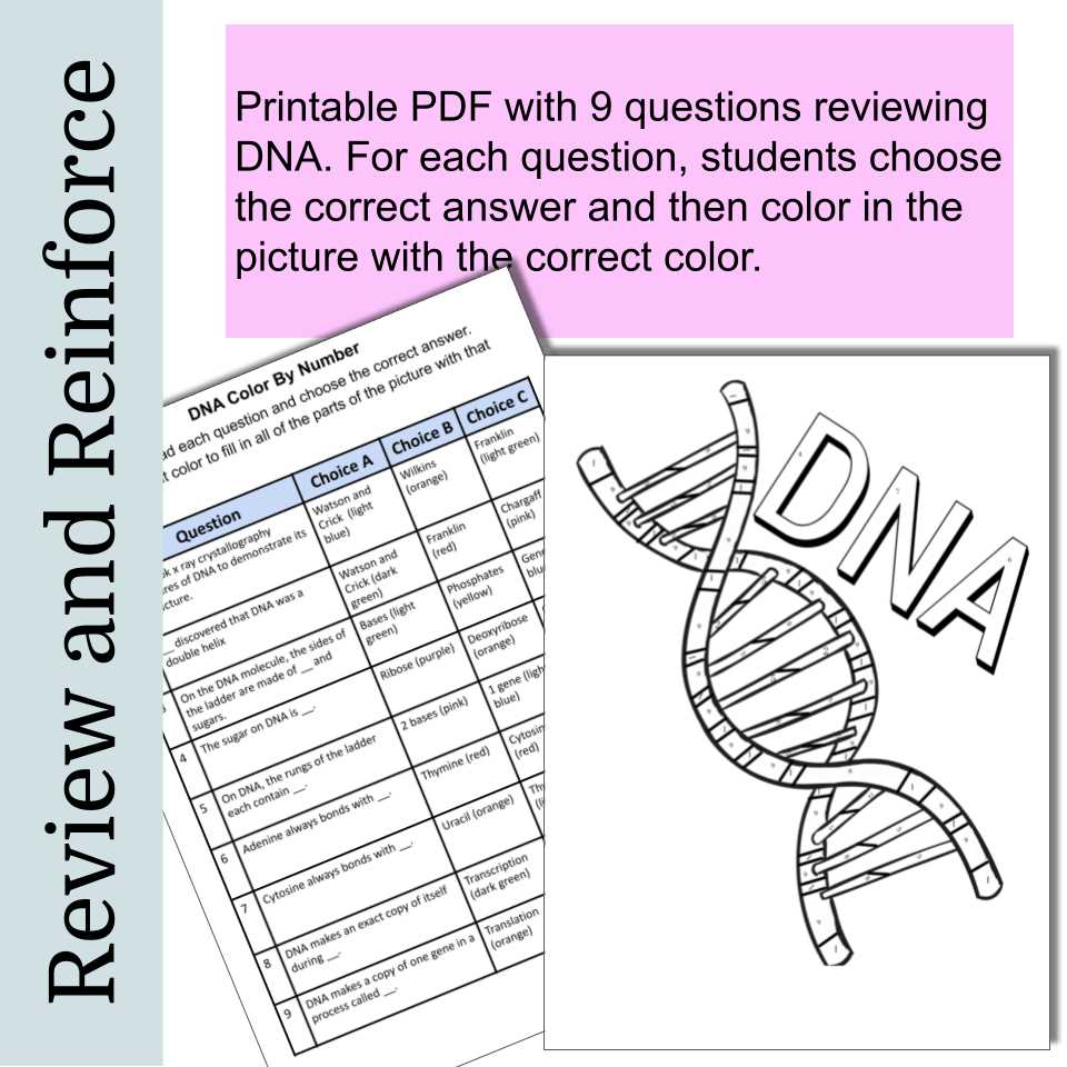 dna test review worksheet