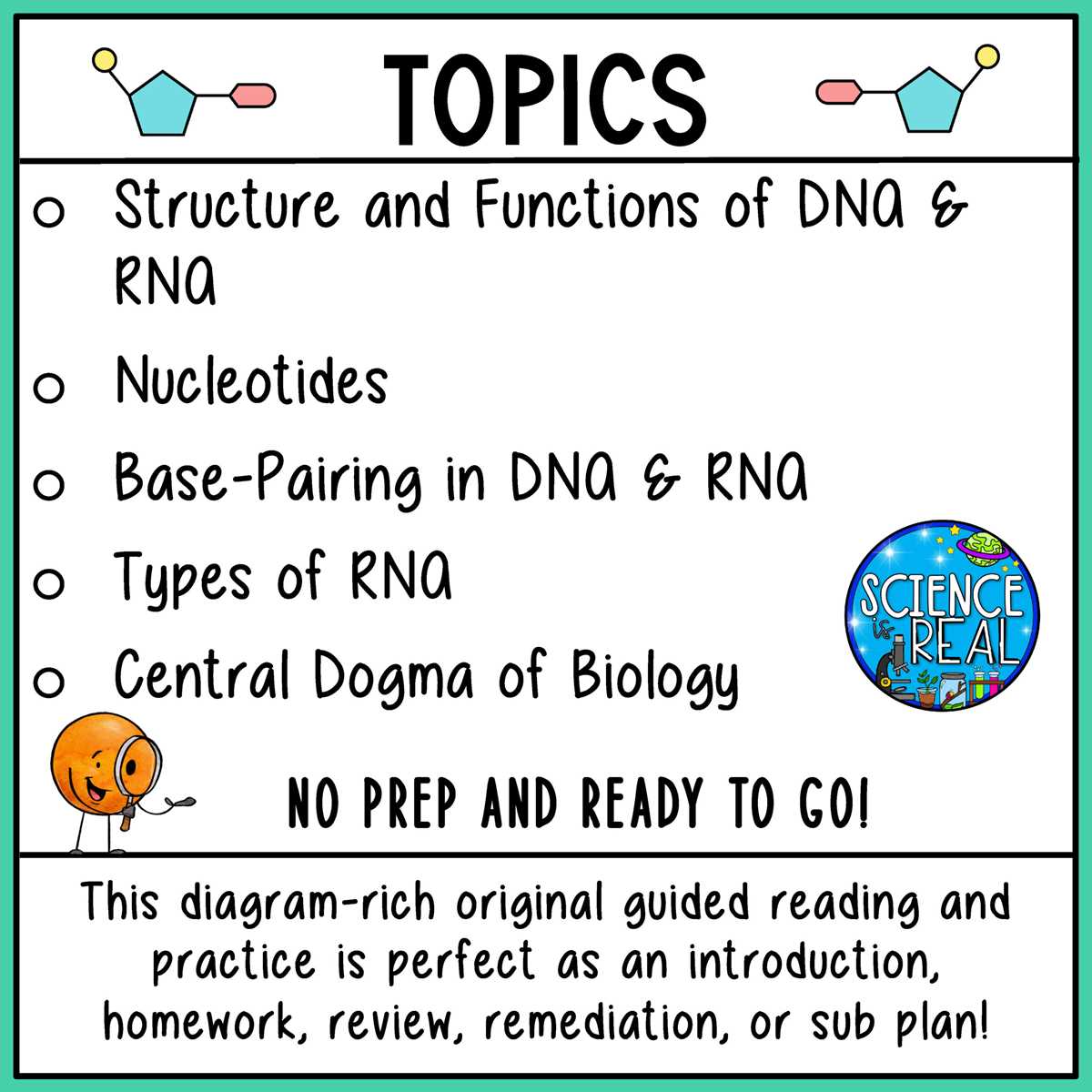 dna test review worksheet