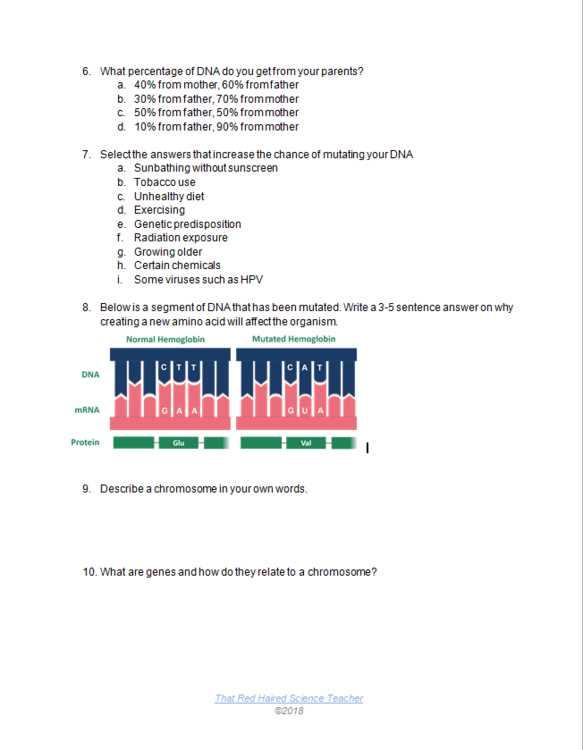 dna test review worksheet
