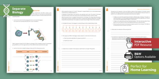 dna the genetic material worksheet dna the genetic material worksheet
