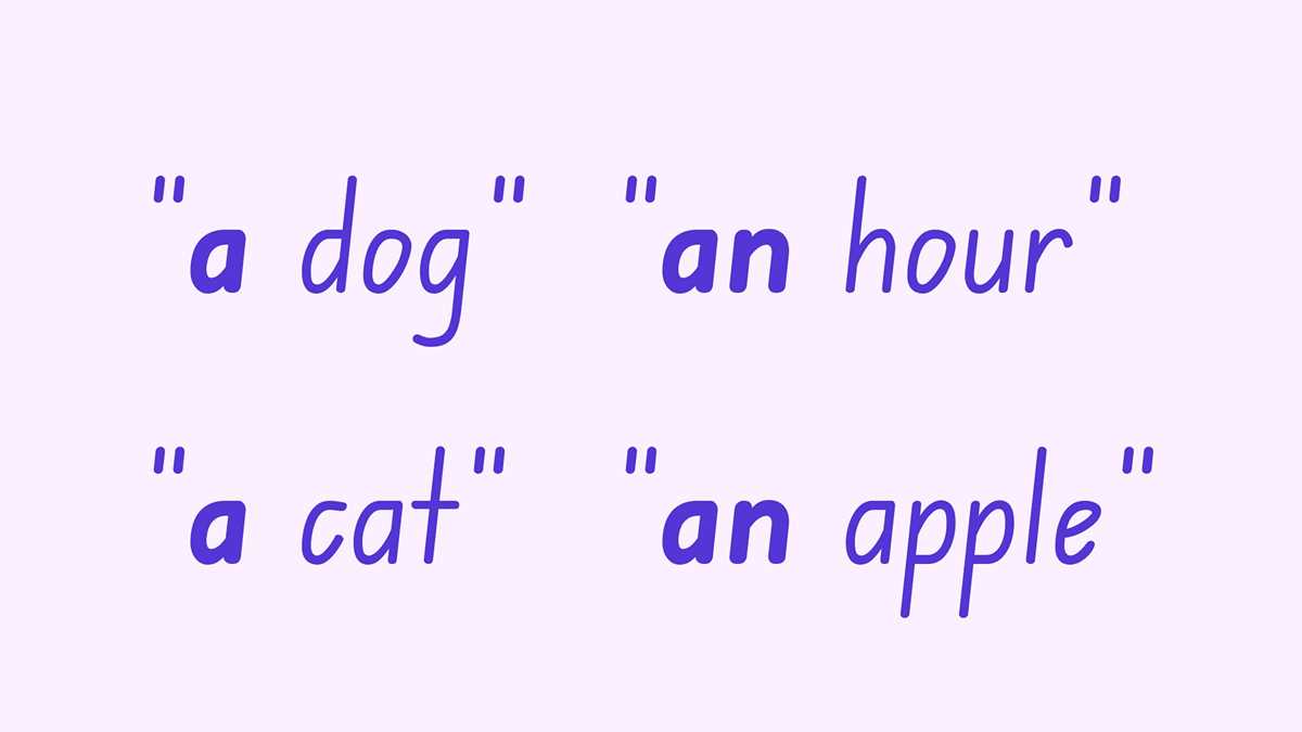 do does did rules worksheet