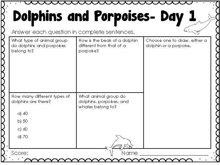 dolphins and porpoises super teacher worksheets