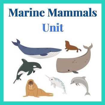 dolphins and porpoises super teacher worksheets