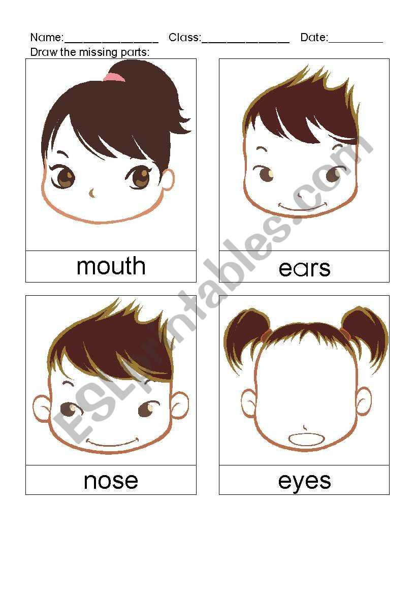 draw the missing body parts worksheets for kindergarten