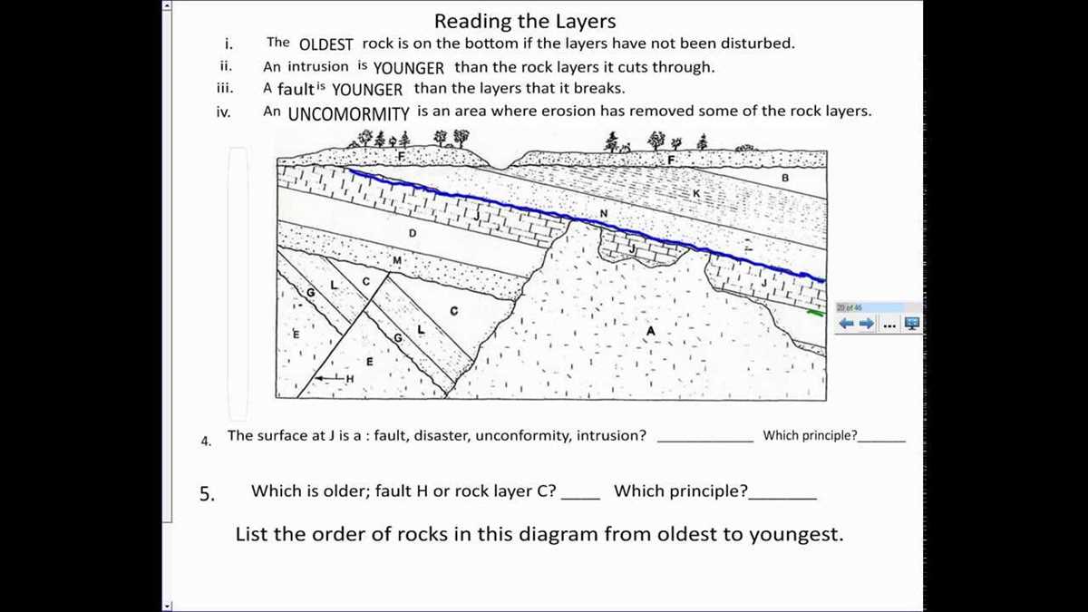 biology relative dating worksheet