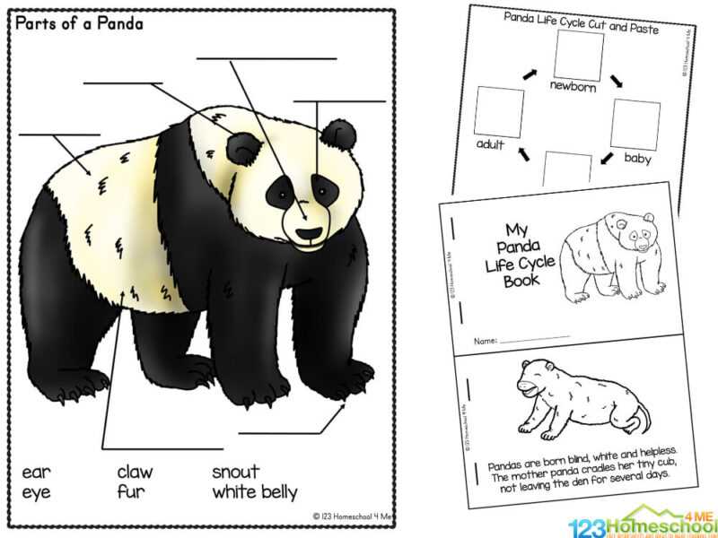 panda bear worksheets
